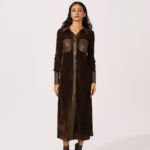 Laire Front Through Velvet Dress